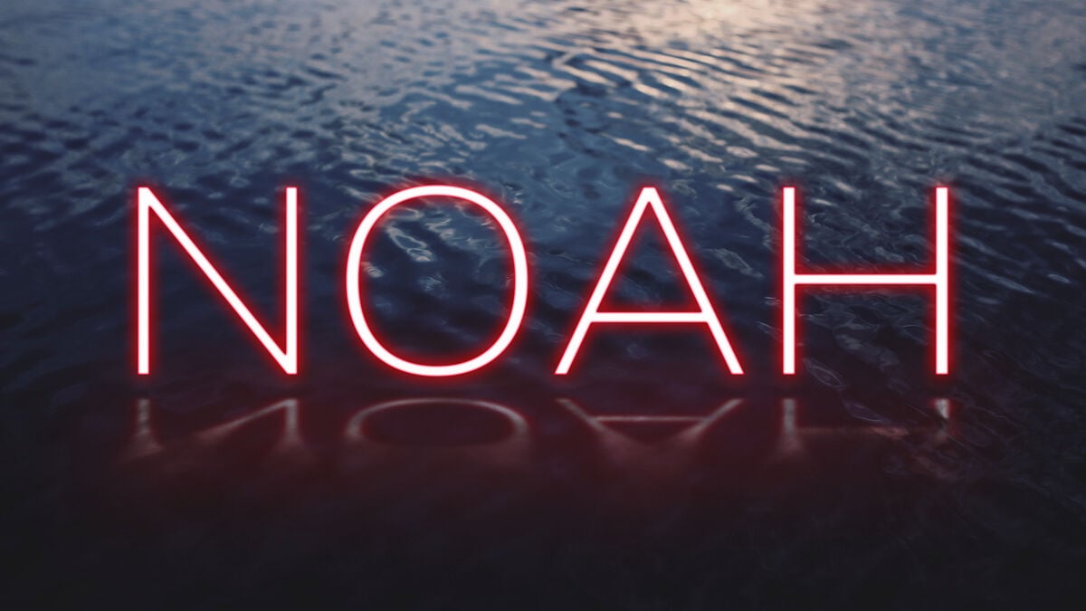 NOAH image number null